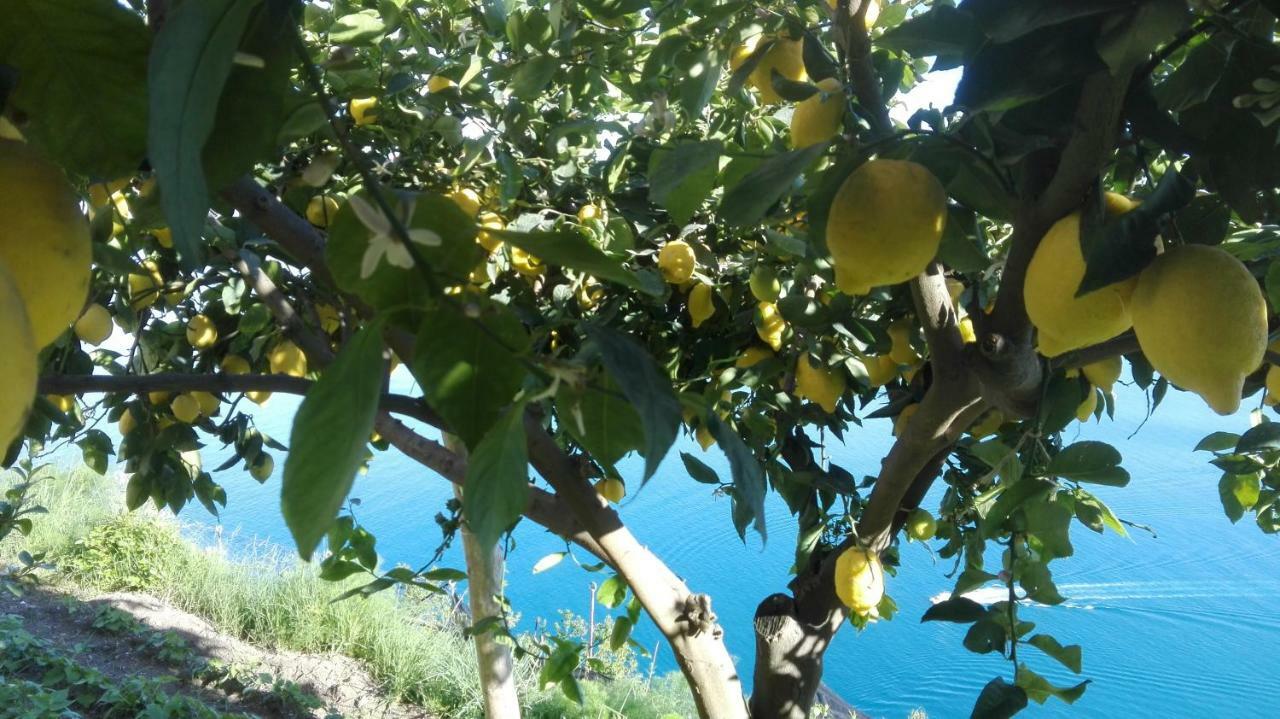 The Guardian Of Amalfi 빌라 외부 사진